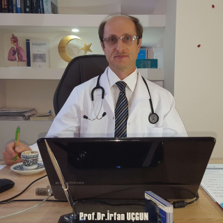 Prof. Dr. İrfan UÇGUN